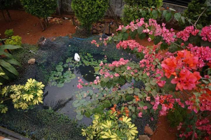 Aldora Holiday Homes Vythiri Εξωτερικό φωτογραφία